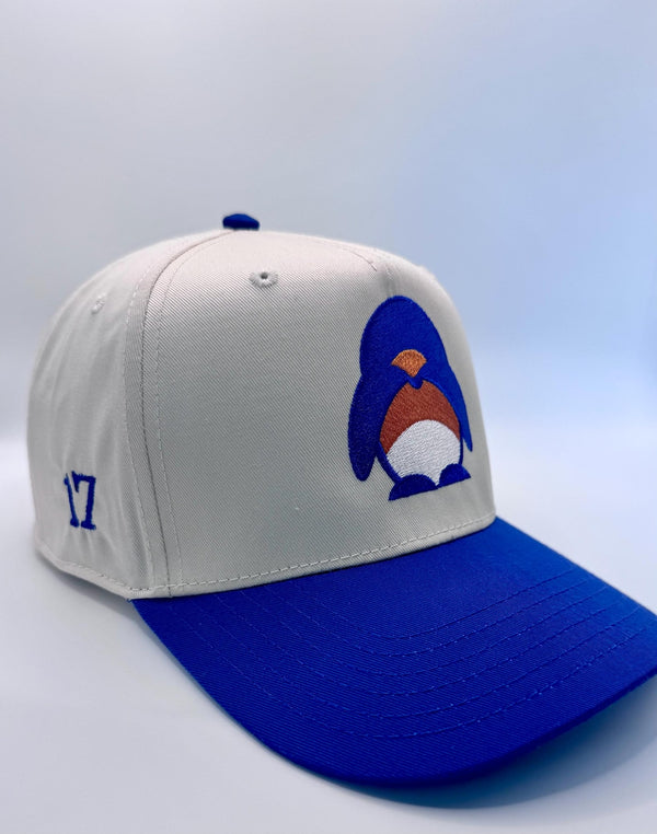 Embroidered Denver Football Jaylen Waddle Fan Hat — product image 2