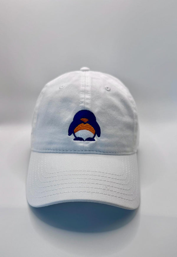 Embroidered Denver Football Fan Hat — product image 4