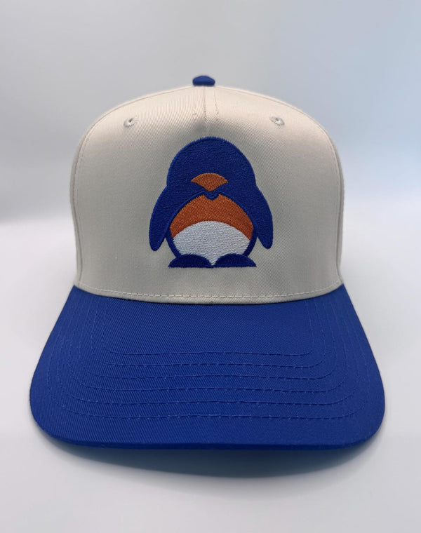 Embroidered Denver Football Jaylen Waddle Fan Hat — product image 1