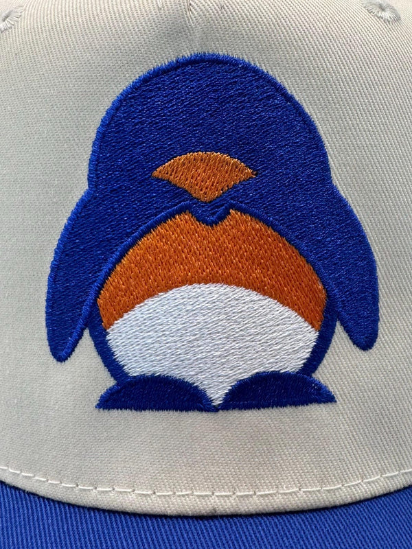 Embroidered Denver Football Jaylen Waddle Fan Hat — product image 3