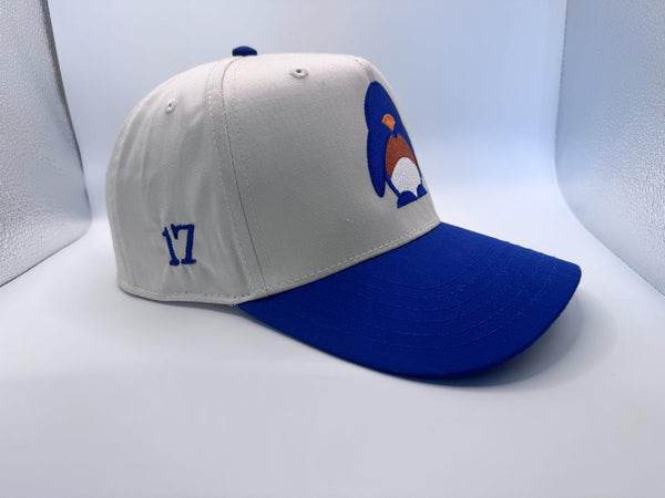 Embroidered Denver Football Jaylen Waddle Fan Hat — product image 4