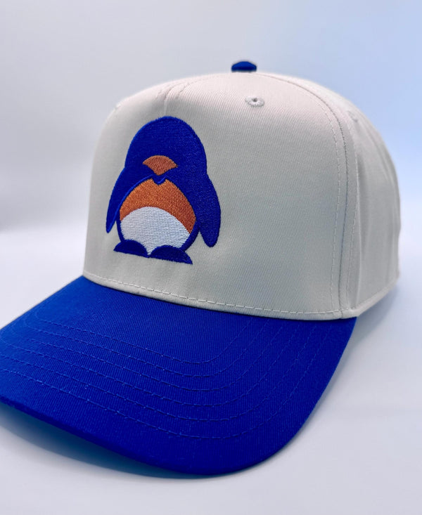 Embroidered Denver Football Jaylen Waddle Fan Hat — product image 5