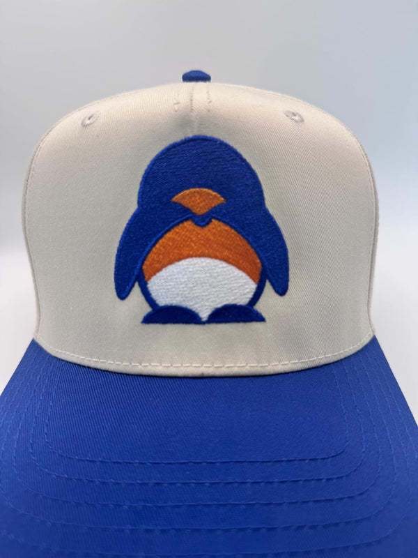 Embroidered Denver Football Jaylen Waddle Fan Hat — product image 8