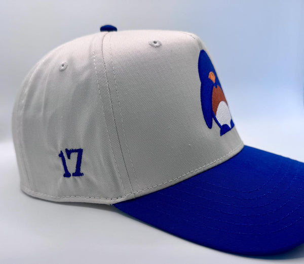 Embroidered Denver Football Jaylen Waddle Fan Hat — product image 10